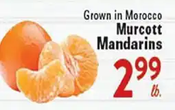 Rio Valley Market Murcott Mandarins offer