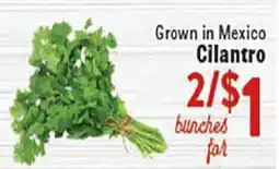 Rio Valley Market Cilantro offer