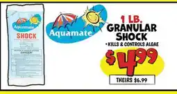 Ollie's 1 LB. GRANULAR SHOCK offer