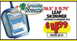 Ollie's 16.5 X 11.75 LEAF SKIMMER offer