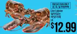 Hmart Live Lobster offer