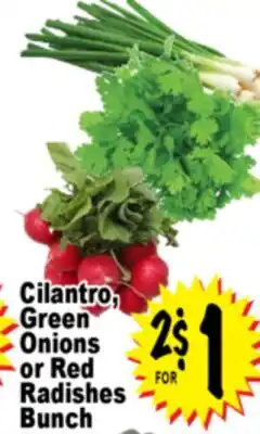 Superior Grocers Cilantro, Green Onions or Red Radishes Bunch offer