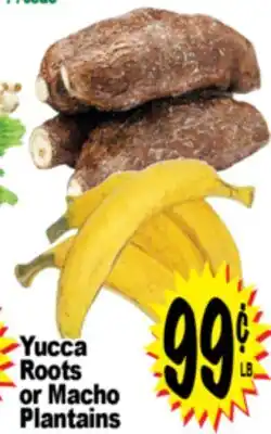 Superior Grocers Yucca Roots or Macho Plantains offer