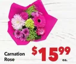 Vallarta Supermarkets Carnation Rose offer