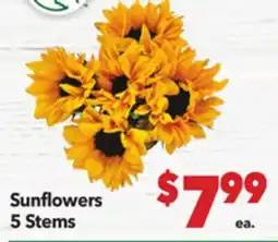 Vallarta Supermarkets Sunflowers offer
