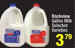 Super King Markets Rockview Gallon Milk offer