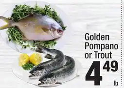 Super King Markets Golden Pompano or Trout offer