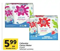 Vons Caliwater Cactus Water offer