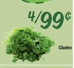 El Super Cilantro offer