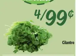 El Super Fresh Cilantro offer