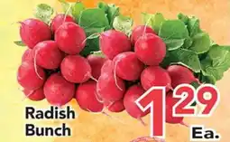 Eurofresh Market Radish Bunch offer
