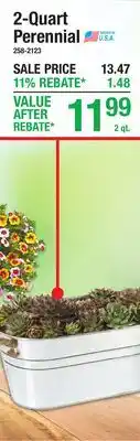 Menards 2-Quart Perennial offer