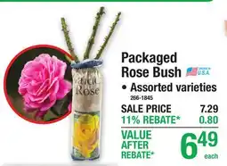 Menards Packaged Rose Bush Assorted varieties offer