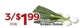 Rich's Fresh Market Organic Green Onion offer