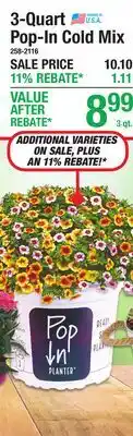 Menards 3-Quart Pop-In Cold Mix offer