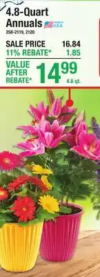 Menards 4.8-Quart Annuals offer