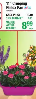 Menards 11 Creeping Philox Pan offer