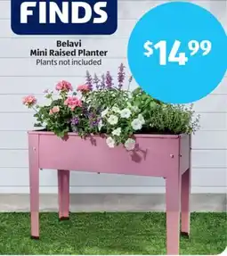 Aldi Belavi Mini Raised Planter offer