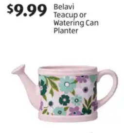 Aldi Belavi Teacup or Watering Can Planter offer
