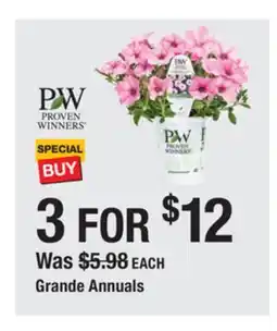 The Home Depot Proven Winners Grande Annuals offer