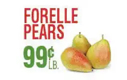 Circus Fruits FORELLE PEAR offer
