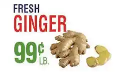 Circus Fruits FRESH GINGER offer