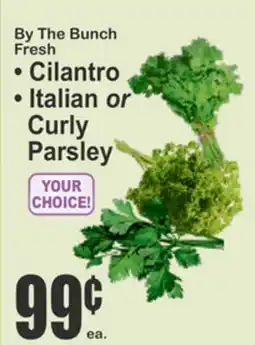 Food Universe By The Bunch Fresh Cilantro Italian or Curly Parsley offer