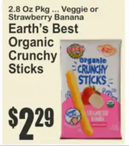 Food Universe Earth's Best Organic Crunchy Sticks offer
