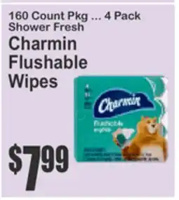 Food Universe Charmin Flushable Wipes offer