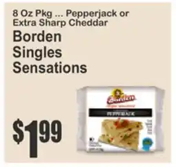 Food Universe Borden Singles Sensations offer
