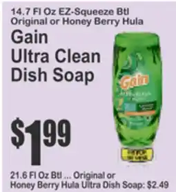 Food Universe Gain Ultra Clean Dish Soap offer