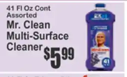 Food Universe Mr. Clean Multi-Surface Cleaner offer