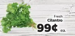 Living Fresh Market Fresh Cilantro offer