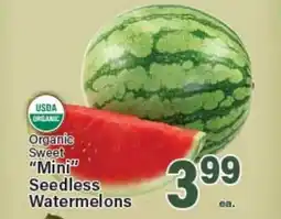 Angelo Caputo's Fresh Market Organic Sweet Mini Seedless Watermelons offer