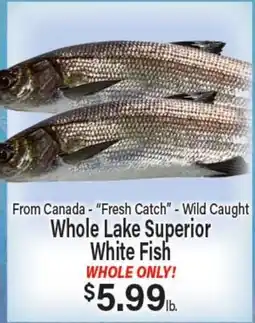 Angelo Caputo's Fresh Market From Canada - Fresh Catch - Wild Caught Whole Lake Superior White Fish offer