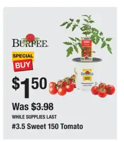 The Home Depot BURPEE #3.5 Sweet 150 Tomato offer