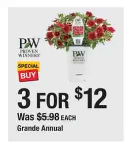 The Home Depot PROVEN WINNERS Grande Annual offer