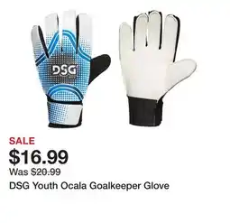 Dick's Sporting Goods DSG Youth Ocala Goalkeeper Glove offer