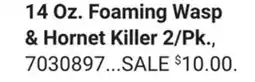 Ace Hardware 14 Oz. Foaming Wasp & Hornet Killer offer
