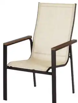 Ace Hardware Steel Frame Sling Chair offer