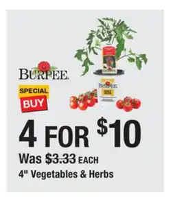 The Home Depot BURPEE 4 Vegetables & Herbs offer