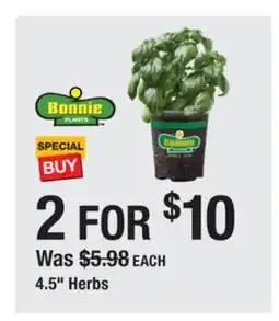 The Home Depot BONNIE PLANTS 4.5 Herbs offer