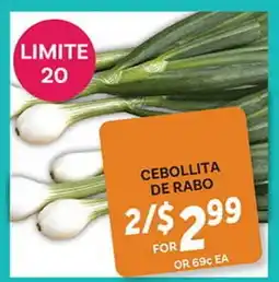 El Paso Grande CEBOLLITA DE RABO offer