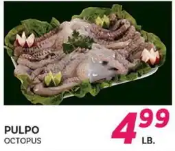 El Paso Grande PULPO offer