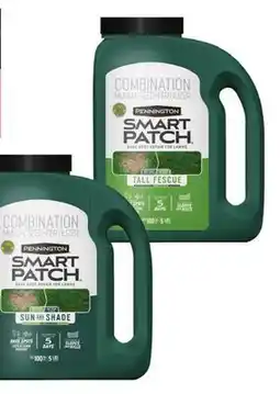Ace Hardware Pennington Smart Patch Mulch, Seed + Fertilizer, 5 Lb offer