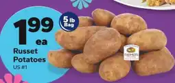 Save a Lot Russet Potatoes offer