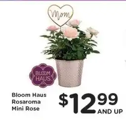 Kroger Bloom Haus Rosaroma Mini Rose offer