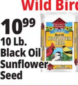 Ocean State Job Lot 10 Lb. Black Oil Sunflower Seed offer