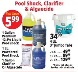 Ocean State Job Lot Pool Shock, Clarifier & Algaecide offer