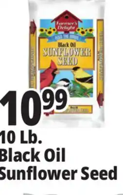 Ocean State Job Lot 10 Lb. Black Oil Sunflower Seed offer